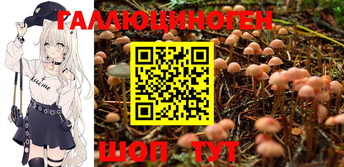 Псилоцибиновые грибы GOLDEN TEACHER Кудымкар