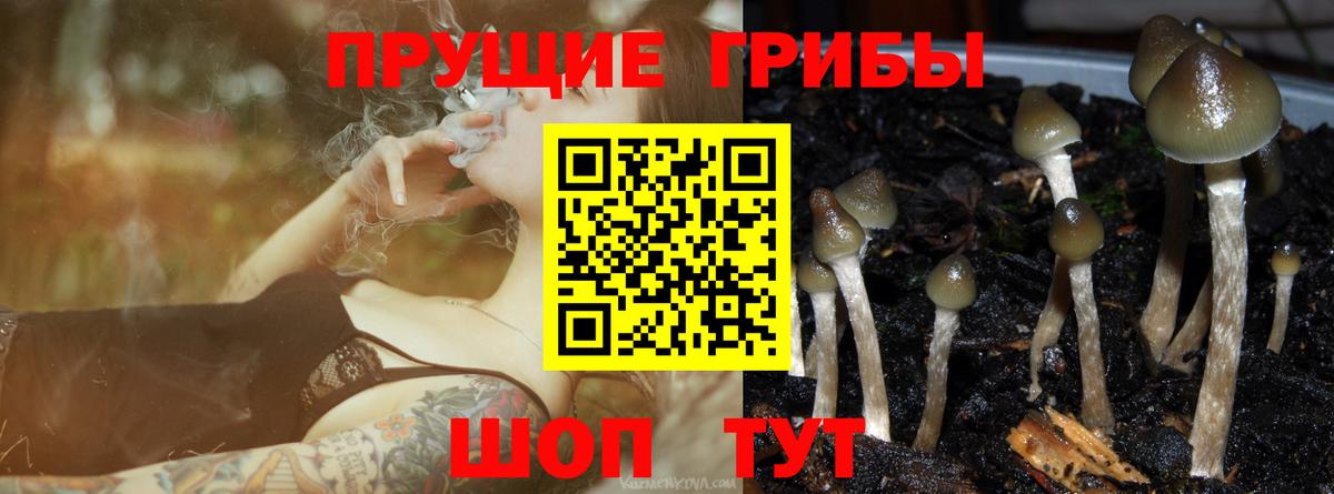 Кудымкар  Галлюциногенные грибы ЛСД  Вход с VPN 