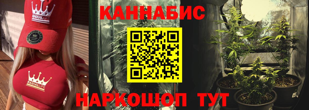 Марихуана сатива Кудымкар